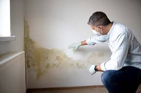 Best Mold Prevention Services  in Reminderville, OH